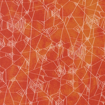 Coven Spice Spider Web Halloween - Robin Pickens for Moda